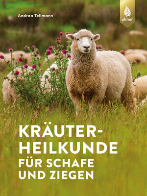 cover image of Kräuterheilkunde für Schafe und Ziegen